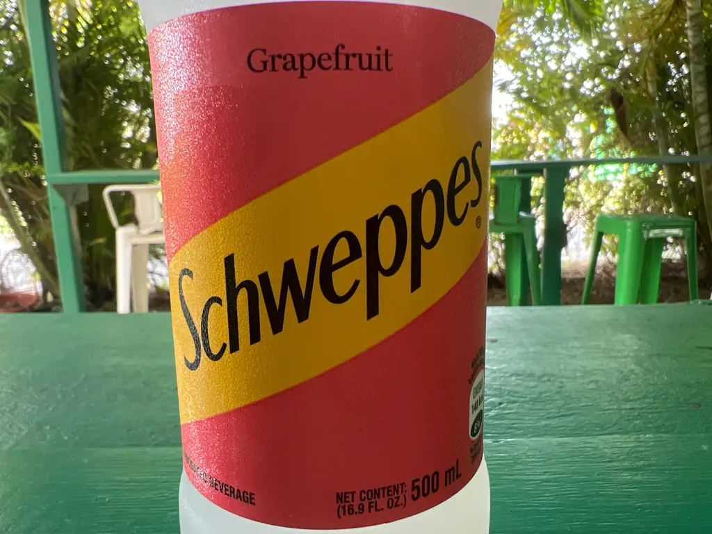 schweppes grapefruit 